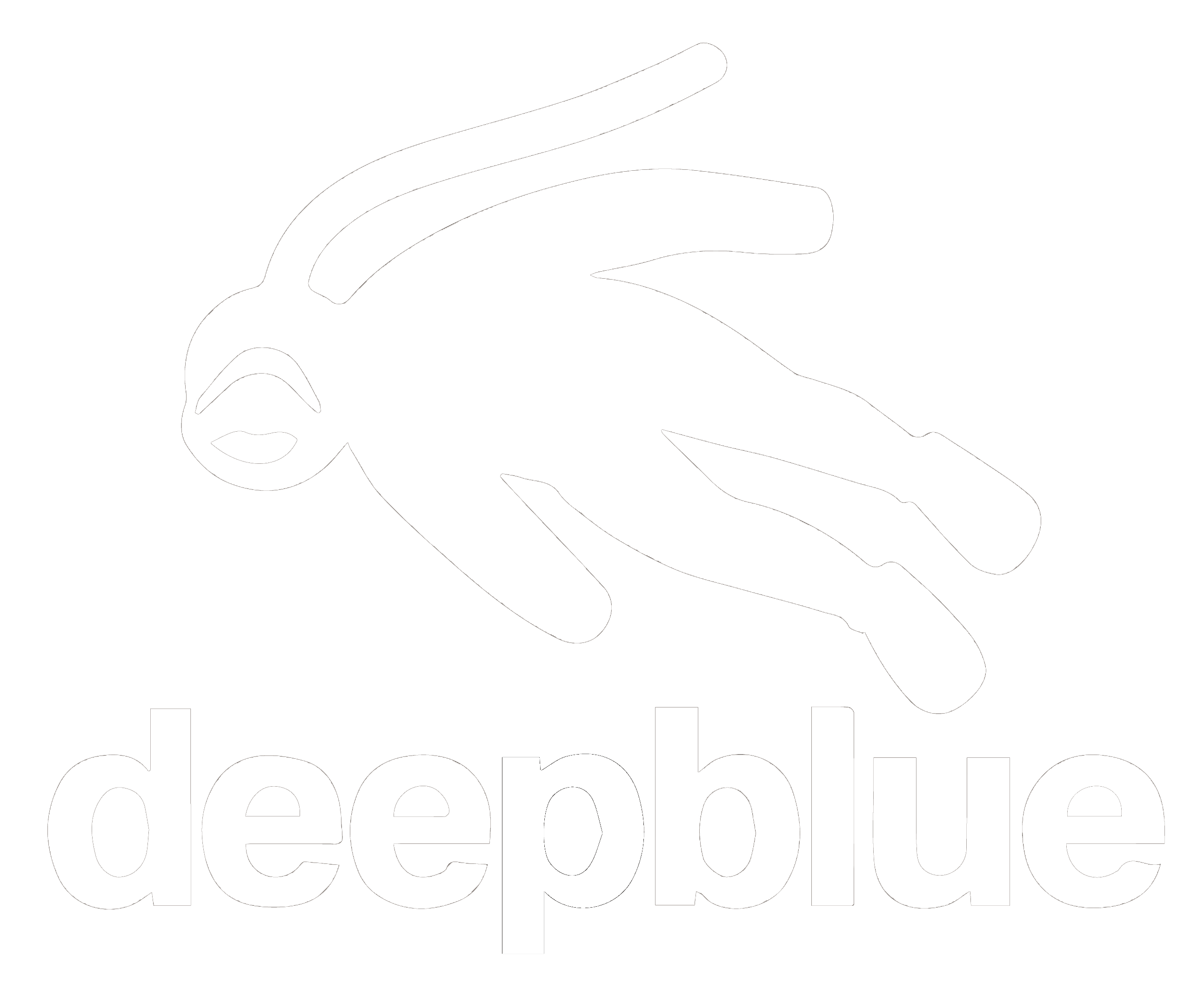 Dongguan DeepBlue Sportswear Co., Ltd